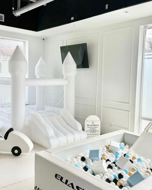 6x8ft Castle + 5ft Ball Pit Combo